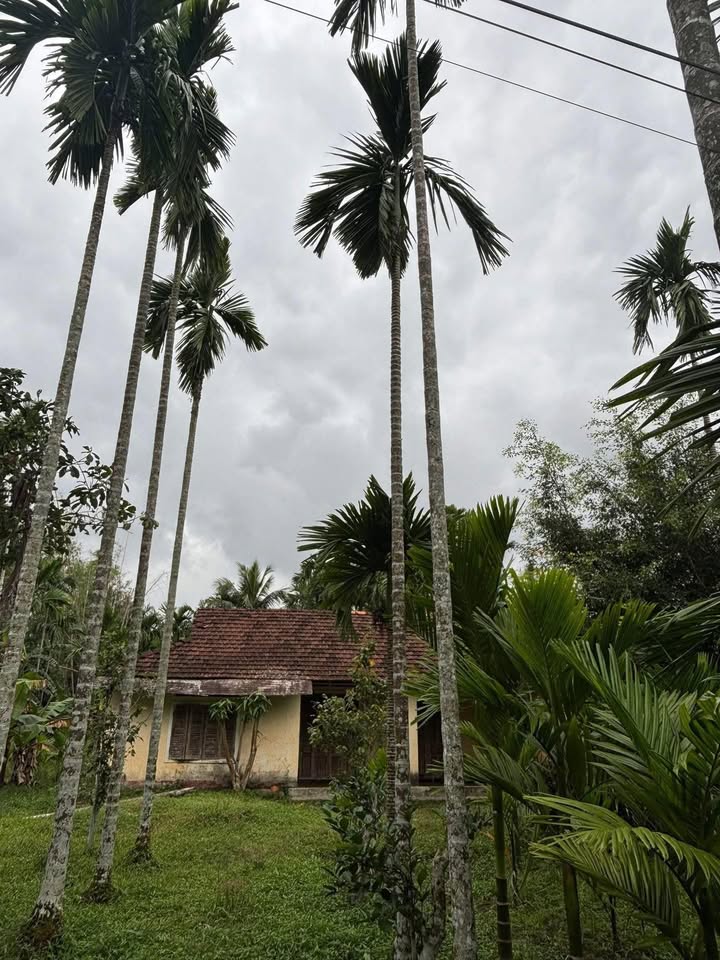 Đất nền Hành Thuận 560m² giá 700 triệu - Cơ hội đầu tư tuyệt vời!