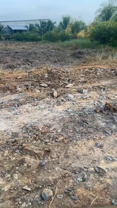 Đất thổ cư Châu Thành Tây Ninh 262m² - Vị trí đắc địa, tiện ích đầy đủ!