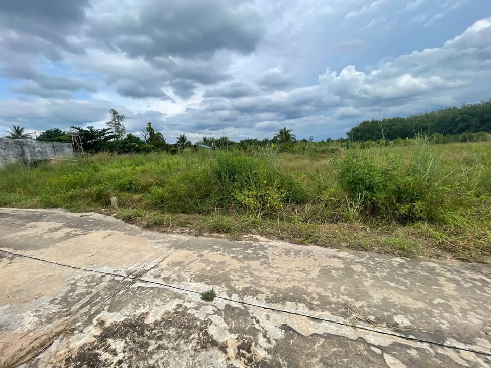 Đất mặt tiền đường bê tông phường Bình 102m² giá chỉ 110 triệu - Cơ hội đầu tư tuyệt vời!