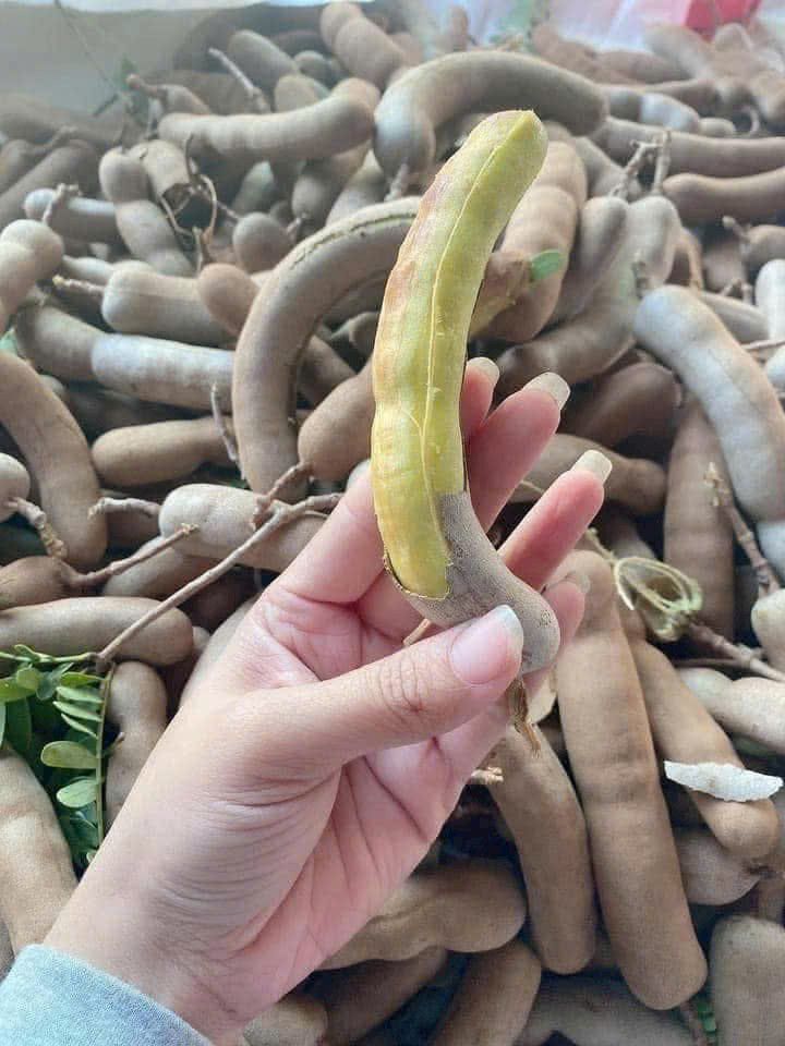 Đất nền Hòa Thành Tây Ninh 253m² giá 3.162 tỷ - Sổ đỏ chính chủ, vị trí đẹp!