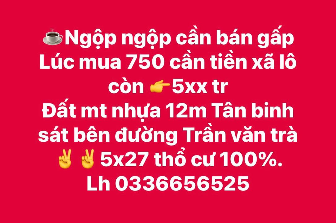 Đất mặt tiền nhựa 12m Tân Bình 135m² giá 500 triệu - Cơ hội đầu tư tuyệt vời!