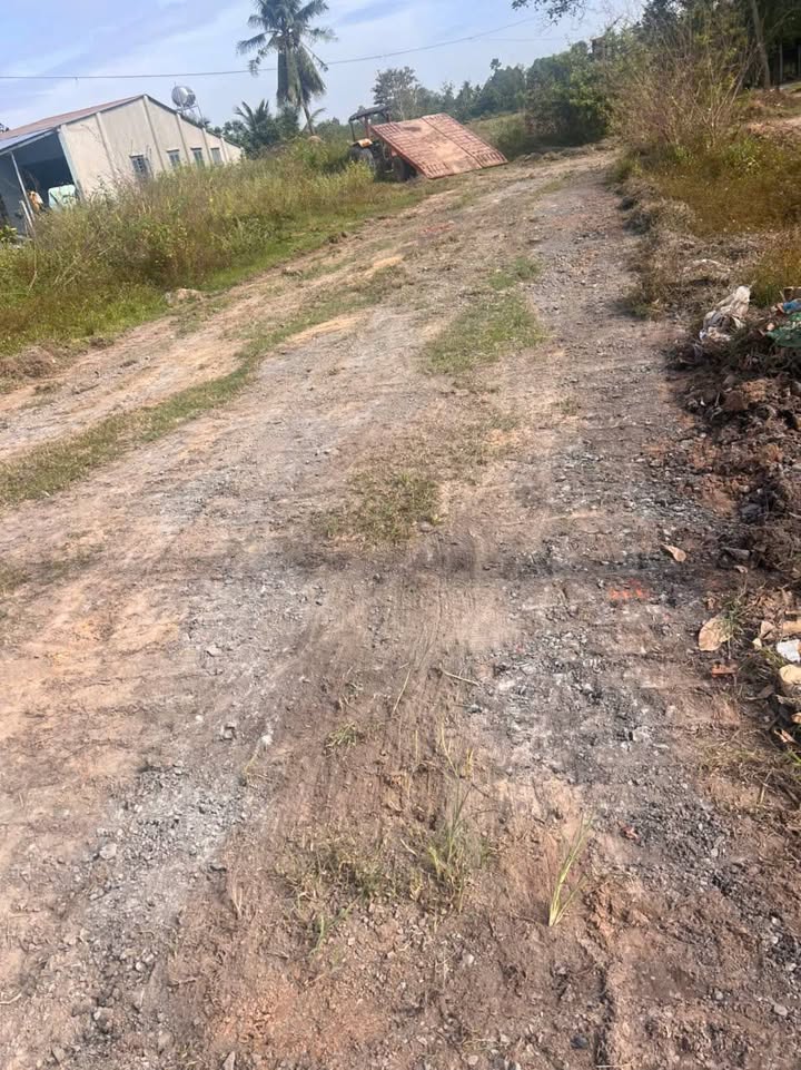 Đất nền khu phố 3, xã Châu Thành, Tây Ninh 200m² - Giá chỉ 270 triệu/lô