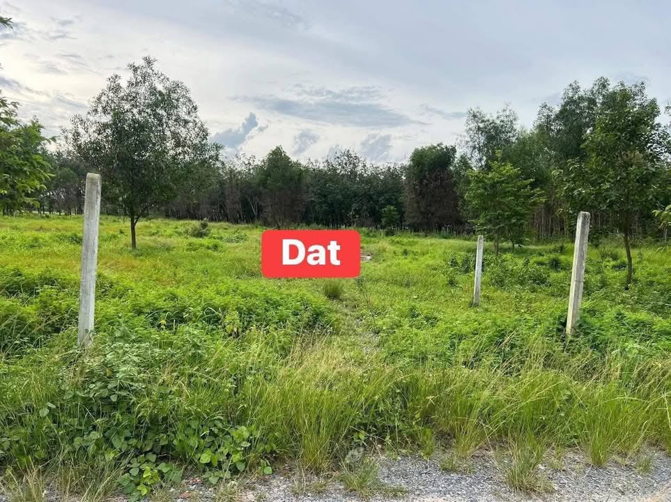 Đất nền Ninh Thạnh, Tây Ninh 315m² giá 230 triệu - Cơ hội đầu tư hấp dẫn!