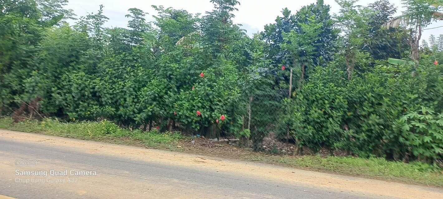 Đất thổ cư 1 sào mặt tiền đường Núi Tượng, Tân Phú - Chỉ 109.5 tỷ VND!