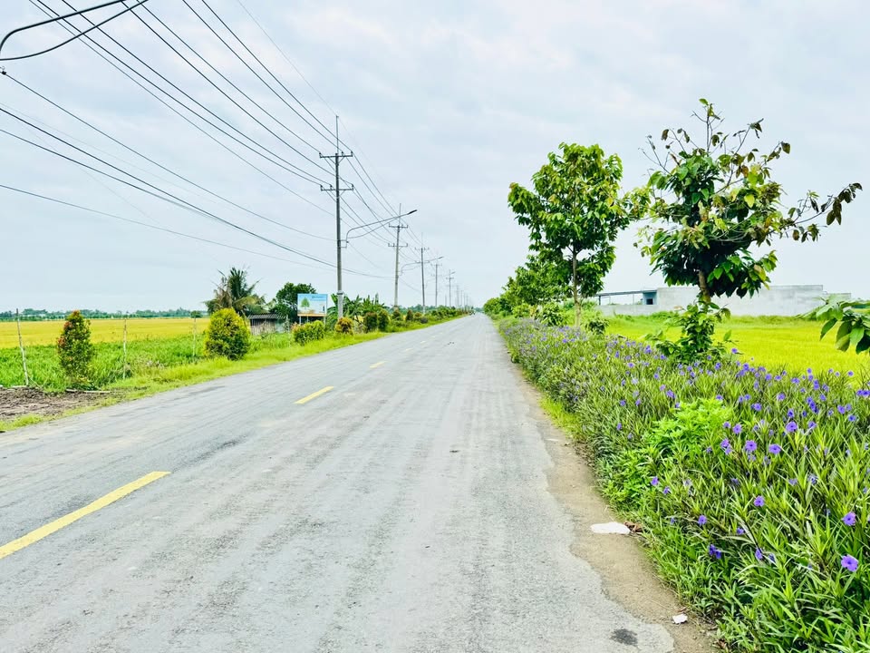 Đất nền mặt tiền Tỉnh Lộ 872, Gò Công Tây, 180m² giá 680 triệu - Cơ hội đầu tư hấp dẫn!