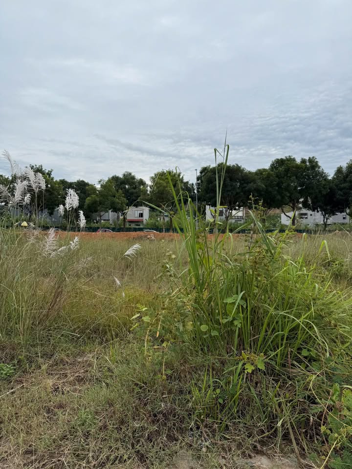 Đất nền đường Nguyễn Tuân, Lào Cai 100m² giá 1.5 tỷ - Sẵn sổ đỏ chính chủ!