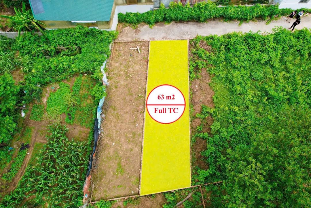 Đất thổ cư Cần Kiệm, Thạch Thất 63m² giá 1 tỷ - Sổ đỏ chính chủ, ô tô đỗ cửa!