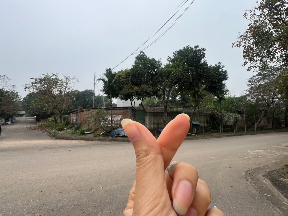 Đất Tái Định Cư Vai Réo Quốc Oai 292m² - Lô Góc Siêu Vip, Tiềm Năng Đầu Tư