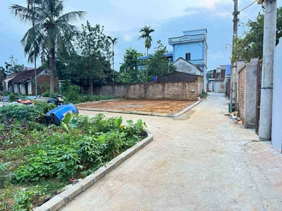 Đất nền Hạ Bằng, Thạch Thất 119m² giá đầu tư - Sổ đỏ chính chủ!