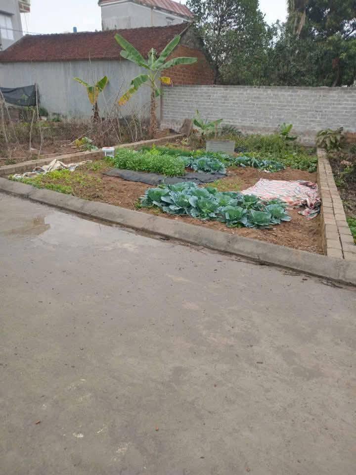 Đất nền thôn Đồng Kho, xã Hạ Bằng, 67.6m² giá chỉ 2 tỷ - Đầu tư sinh lời ngay!