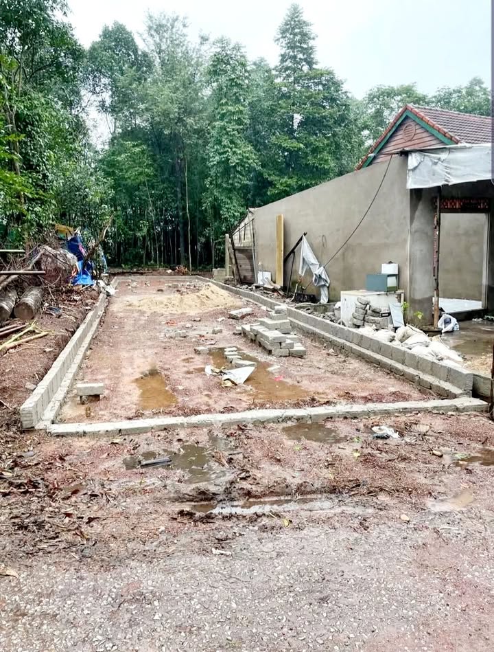 Đất Mặt Tiền Phạm Đình Toái, Thủy Xuân 100m² giá 1.8 tỷ - Sổ đỏ chính chủ, sang tên ngay!