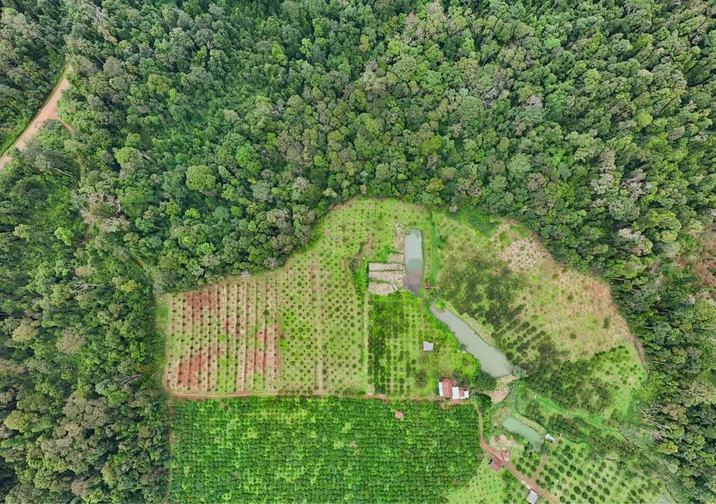 Đất nông nghiệp 5ha tại Kbang, Gia Lai - Nhà hoàn chỉnh, chỉ 4.6 tỷ!