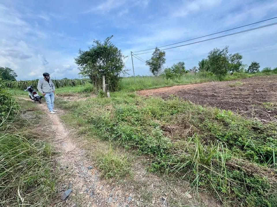 Đất nền 1800m² Thôn 2, Hàm Liêm giá chỉ 379 triệu - Cơ hội đầu tư hấp dẫn!