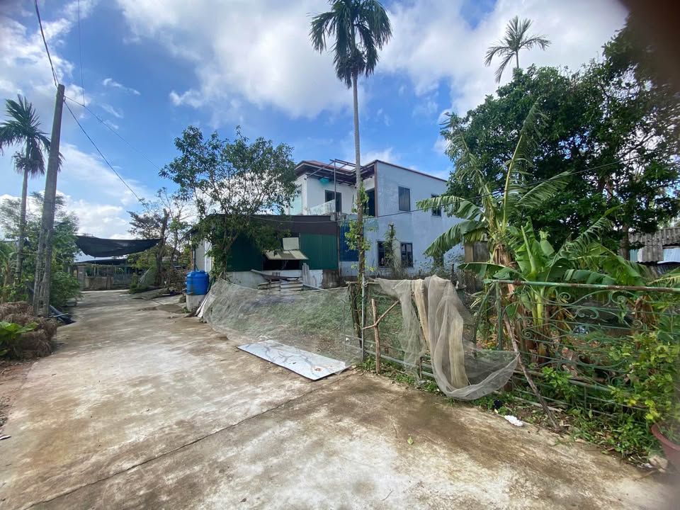 Đất nền Thạch Đài 172.5m² giá 3.2 tỷ - Đầu tư sinh lời hấp dẫn!