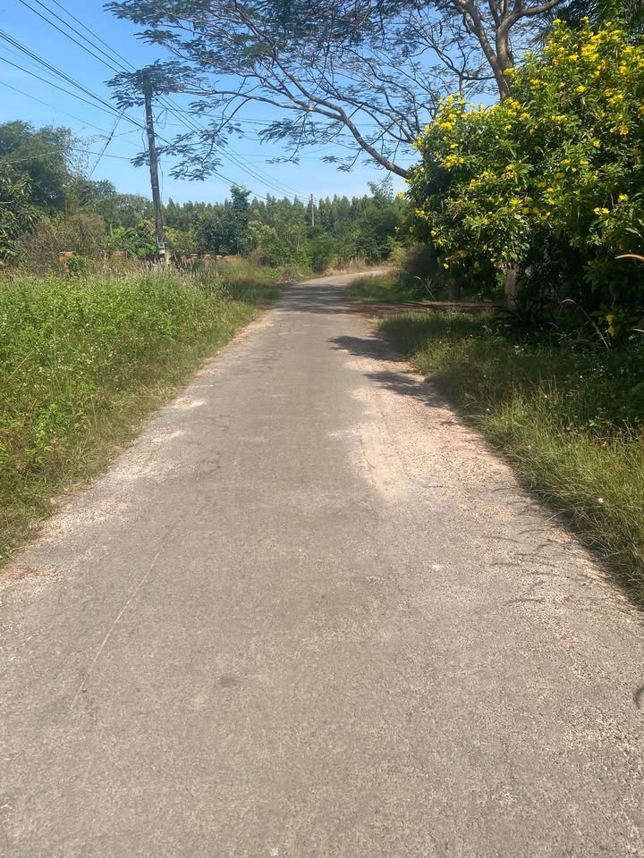 Bán đất Suối Cao Cũ, Xuân Thành 1190m² - Giá chỉ 1.3 tỷ, vị trí đẹp!