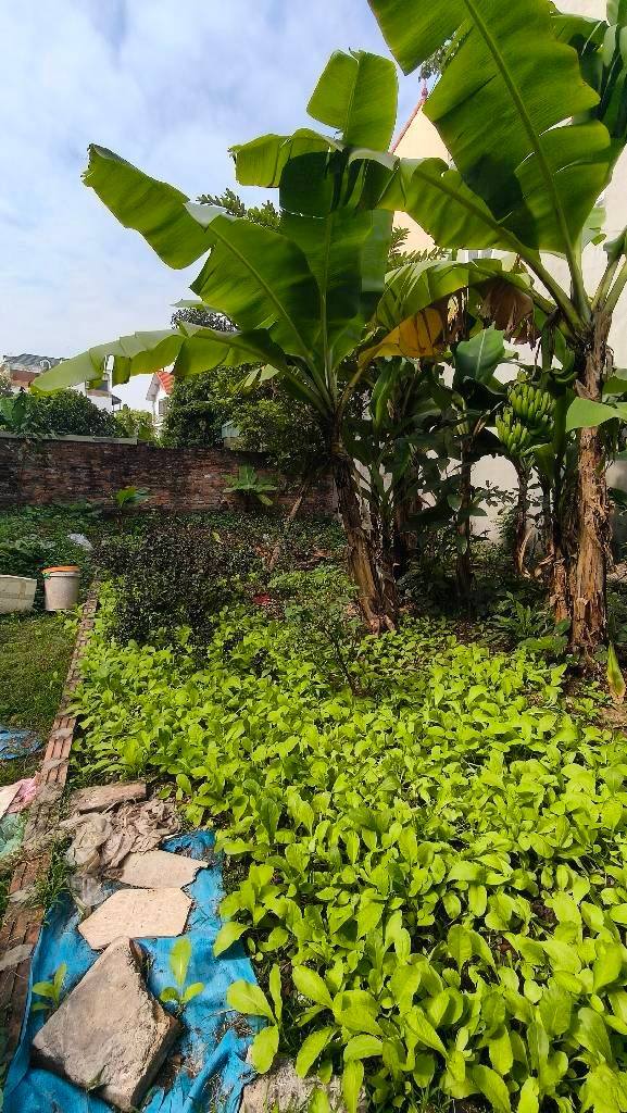 Đất Phúc Lợi Long Biên 87m² giá 7.3 tỷ - Đường ô tô, khu dân cư tốt!