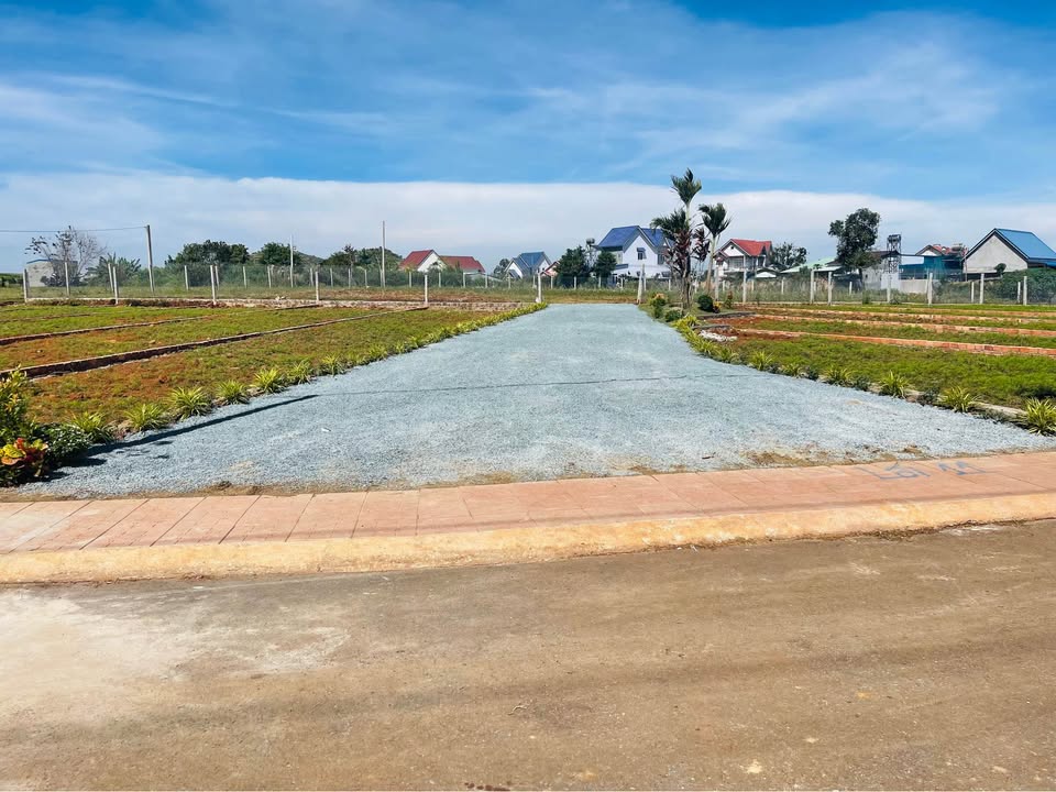 Đất 2 mặt tiền Phú Hội 145m² giá 1.29 tỷ - Cơ hội đầu tư sinh lời!