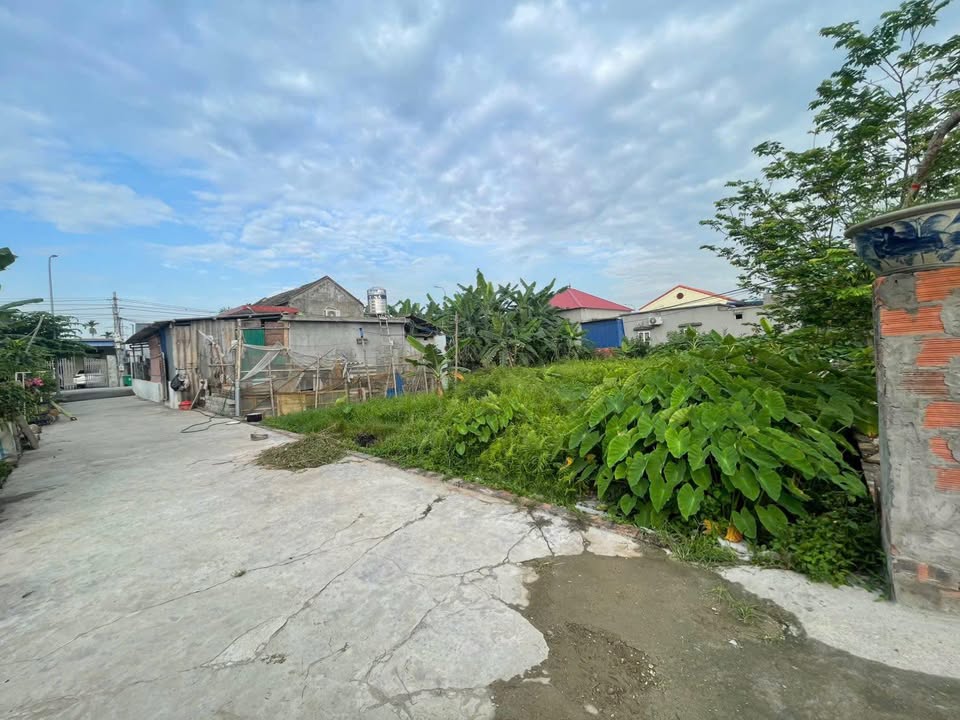 Đất nền Lê Ích Mộc, Thủy Nguyên 97m² giá 900 triệu - Hướng Đông, ô tô vào tận đất!