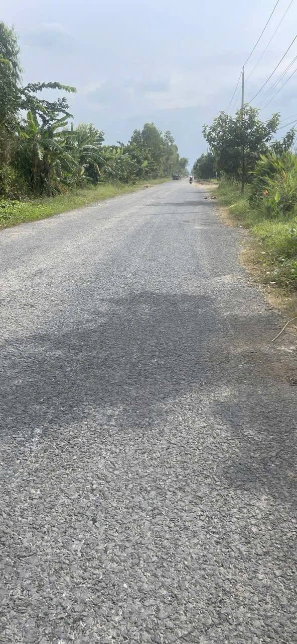 Đất nền rộng 320m² tại xã Nguyễn Văn Thảnh, Bình Tân - Giá chỉ 1.05 tỷ!