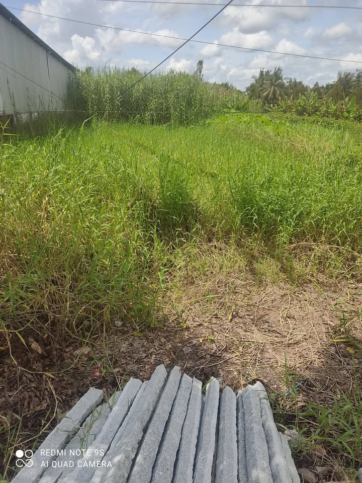 Đất thổ cư Trường Long Tây 500m² giá 1.7 tỷ - Đầu tư sinh lời lý tưởng!