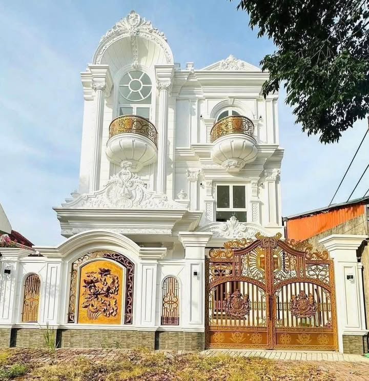 Biệt thự mặt tiền Nguyễn Văn Lưu 205m² giá 20 tỷ - Sổ hồng hoàn công, thiết kế hiện đại!