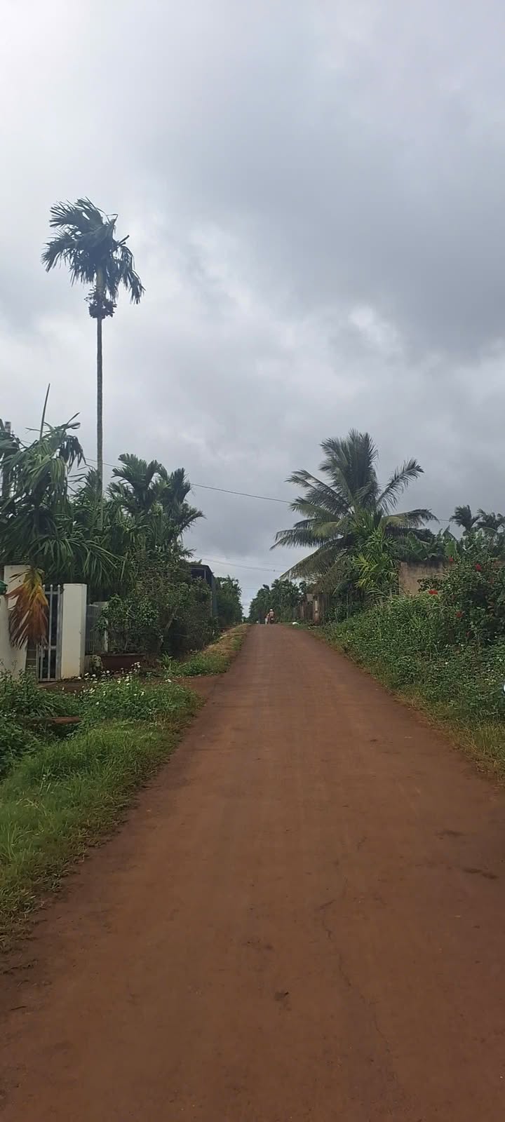 Đất nền xã Ea Đrông 900m² giá 900 triệu - Mặt tiền đường nhựa, cơ hội đầu tư tuyệt vời!