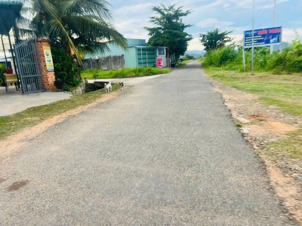 Đất thổ cư 1.100m² tại Thôn 6, Hàm Chính - Giá chỉ 650 triệu - Tiềm năng đầu tư lớn!