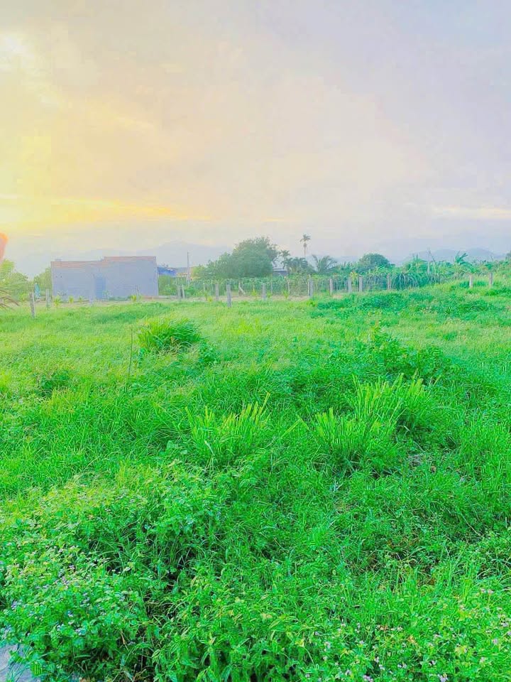 Đất mặt tiền Đường Đất 773m² giá 220 triệu - Sổ hồng riêng, gần hồ mát mẻ!