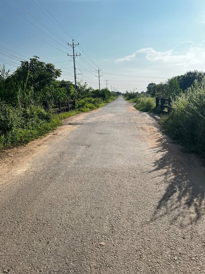 Đất cây lâu năm Thôn 2, xã Hàm Liêm, 16.200m² chỉ 1.8 tỷ - Đầu tư sinh lời ngay!