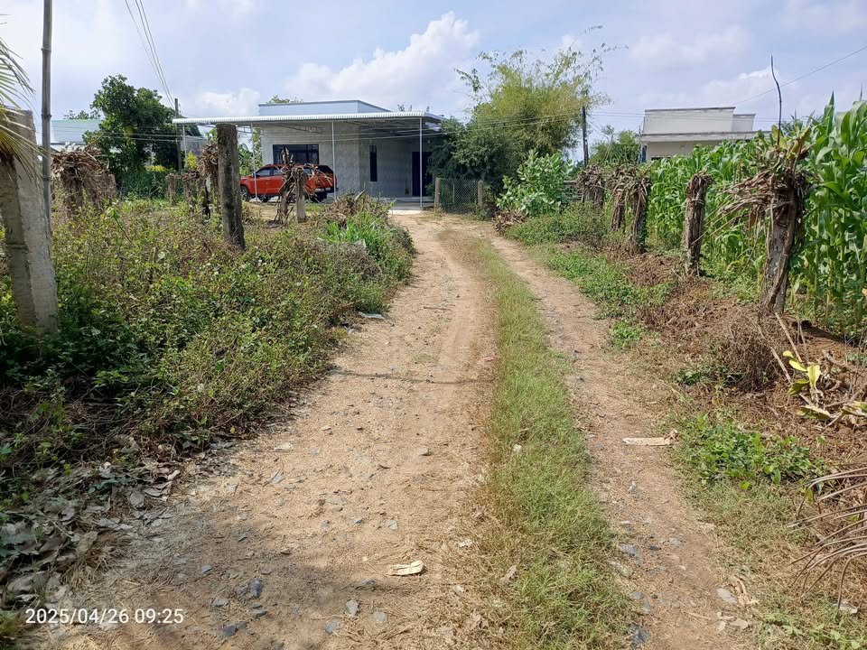 Lô Đất Cây Trồng 2931m² Thôn Hội Nhơn, Bình Thuận - Giá Chỉ 600 Triệu!