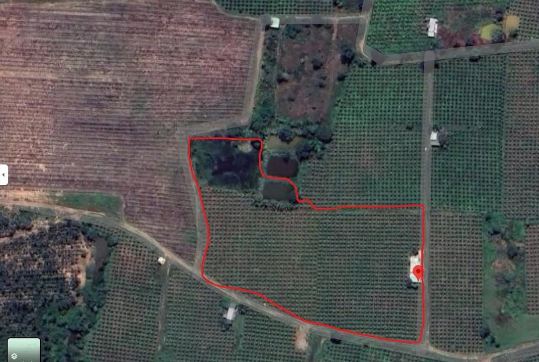 Đất nông nghiệp 10.000m² tại Hàm Cường, Hàm Thuận Nam - Đang cho thu hoạch ổn định!