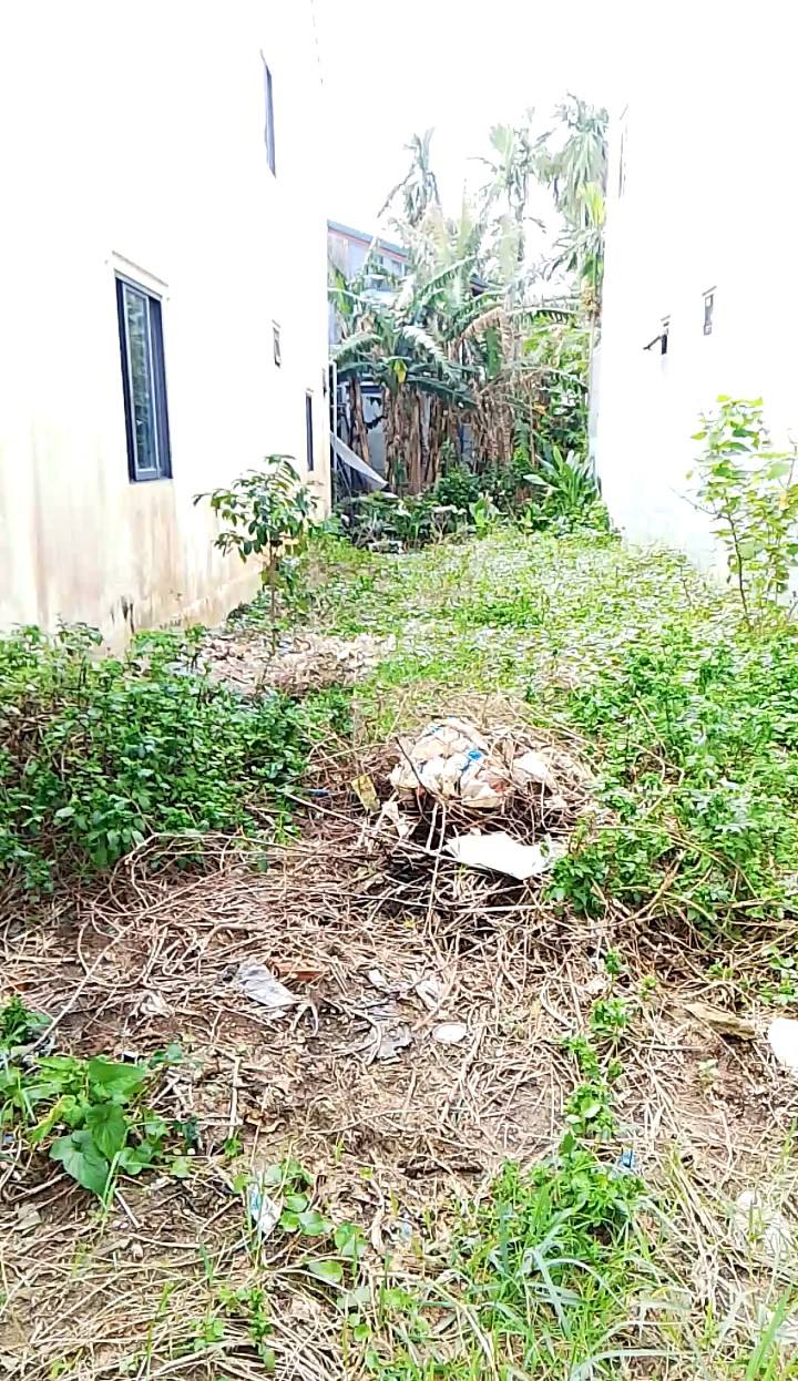 Đất nền Cẩm Thanh 101m² giá 2.2 tỷ - Sổ hồng chính chủ, đầu tư sinh lời!