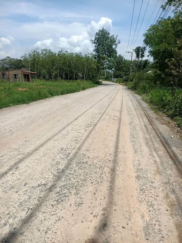 Đất nền Dầu Tiếng Bình Dương 5600m² giá 100 triệu - Đường ĐT 749B mặt tiền 8m!