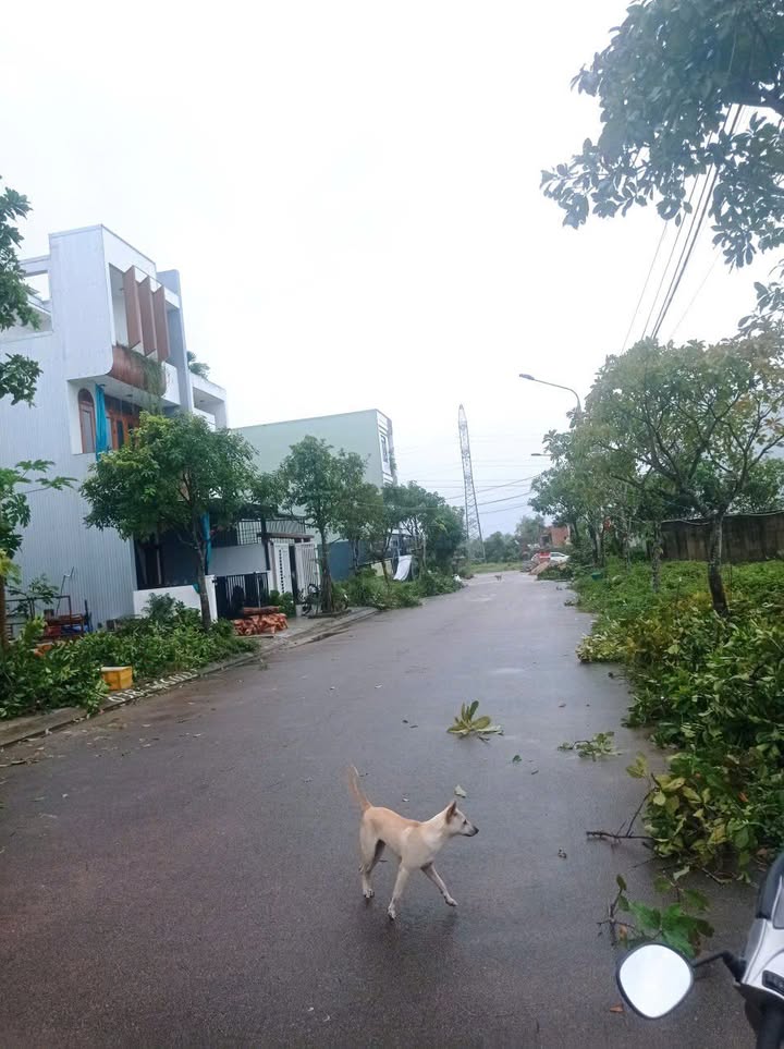 Đất ở đô thị Trường Xuân, Tam Kỳ 90m² giá 1.4 tỷ - Hỗ trợ vay ngân hàng!