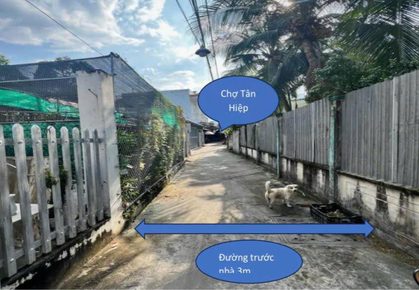 Đất Tân Hiệp 99.75m² giá 1.8 tỷ - Chính chủ bán gấp, gần chợ!