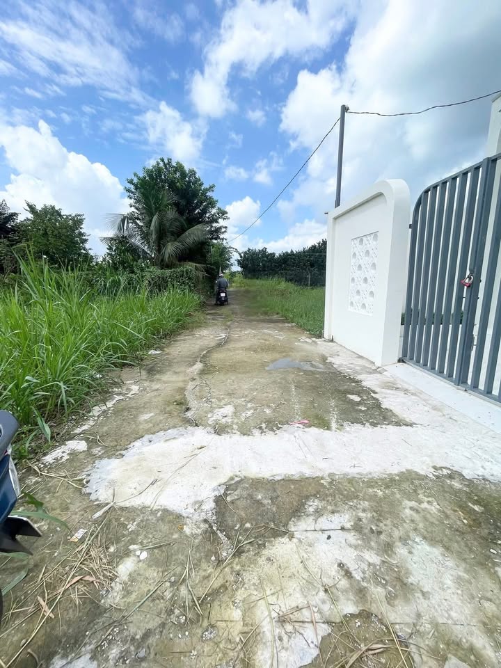 Đất nền sổ đỏ Mỹ Lương, Mỹ Phong, Mỹ Tho 80m² giá 395 triệu - Cơ hội đầu tư tuyệt vời!