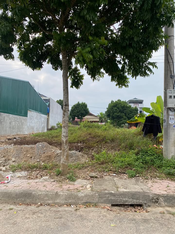 Đất nền Phố Lu Bảo Thắng 110m² giá 700 triệu - Sổ hồng chính chủ, giao dịch nhanh gọn!