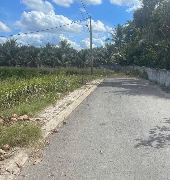 Đất nền mặt tiền nhựa 5m tại Tân Hương, Châu Thành, Tiền Giang - Giá chỉ 500 triệu!