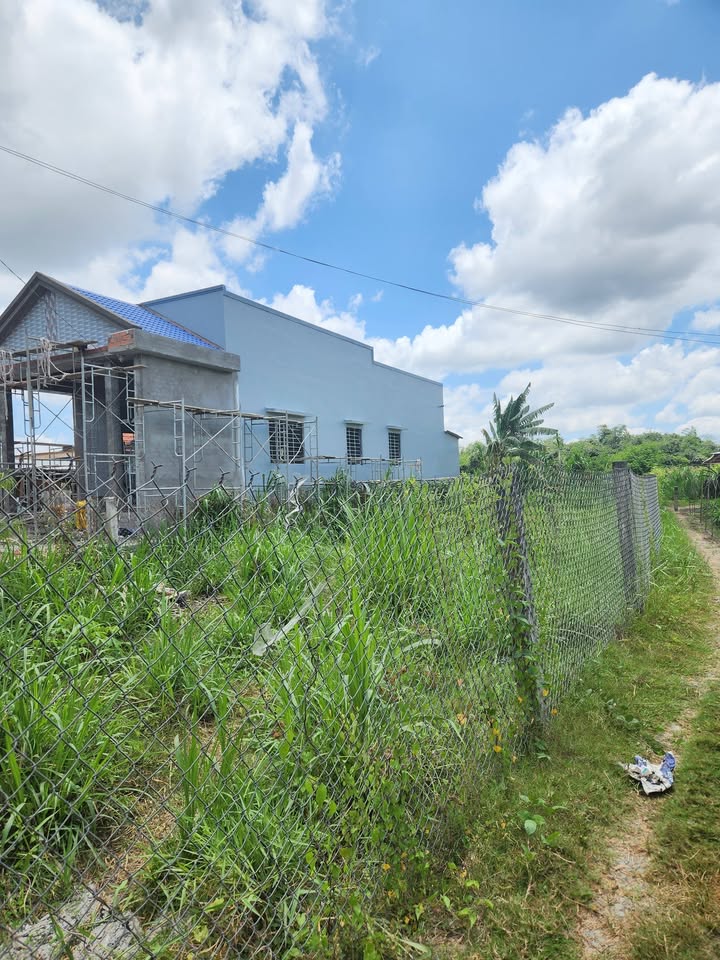 Đất thổ cư mặt tiền đường Huyện 22, Bình Phục Nhứt 280m² - Cơ hội đầu tư sinh lời!