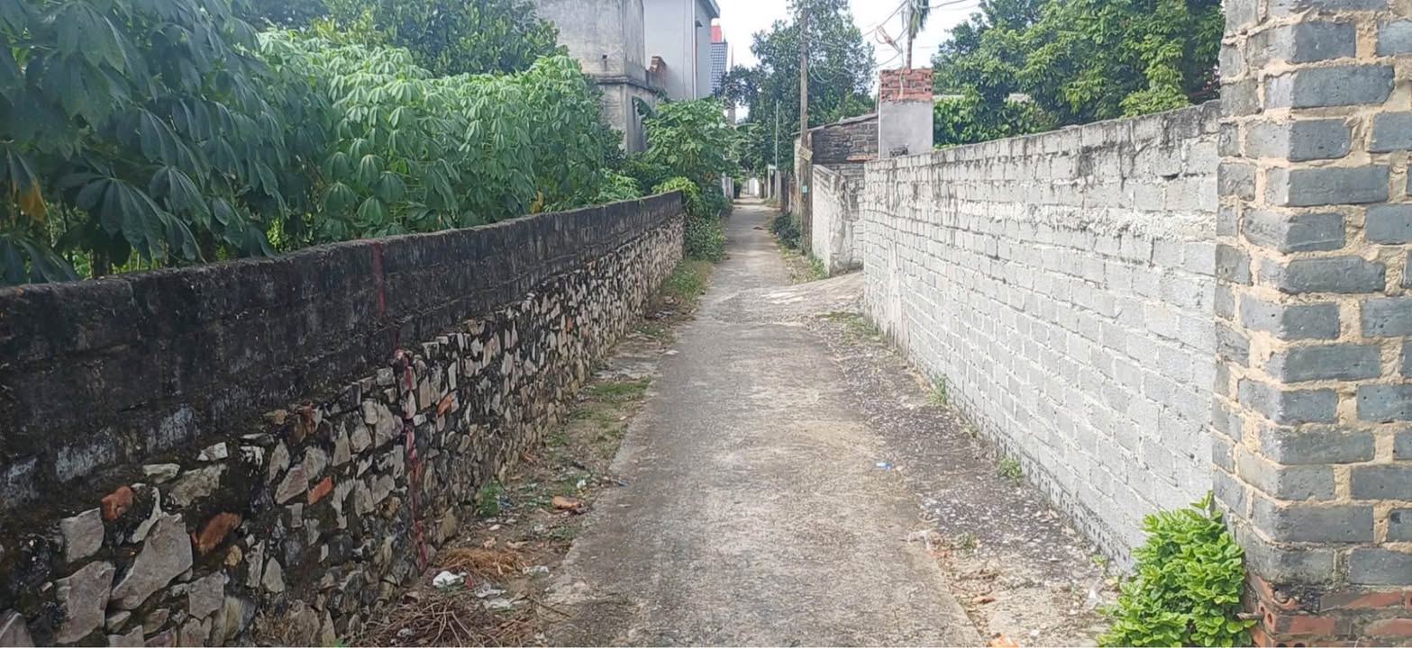 Đất nền Hữu Bằng, Ngọc Xá, Quế Võ 180m² giá 1 tỷ - Đầu tư sinh lời ngay!