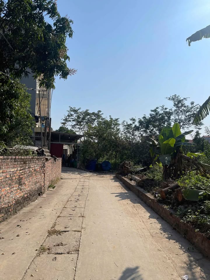 Đất thổ cư tại La Miệt, Yên Giả, Quế Võ 99m² giá 2 tỷ - Đường ô tô thoải mái!