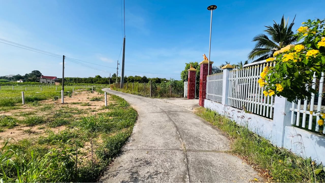 Đất nền 1000m² Láng Dài - Mặt tiền đường bê tông, giá chỉ 800 triệu!