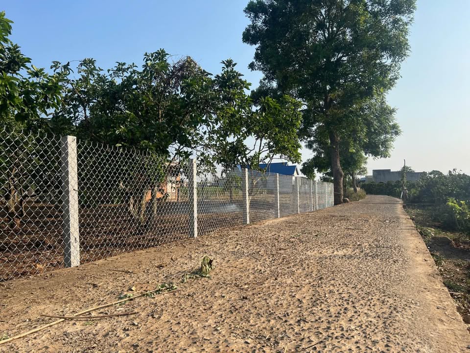 Đất Tân Hội 273m² giá chỉ 680 triệu - Cơ hội đầu tư hấp dẫn!