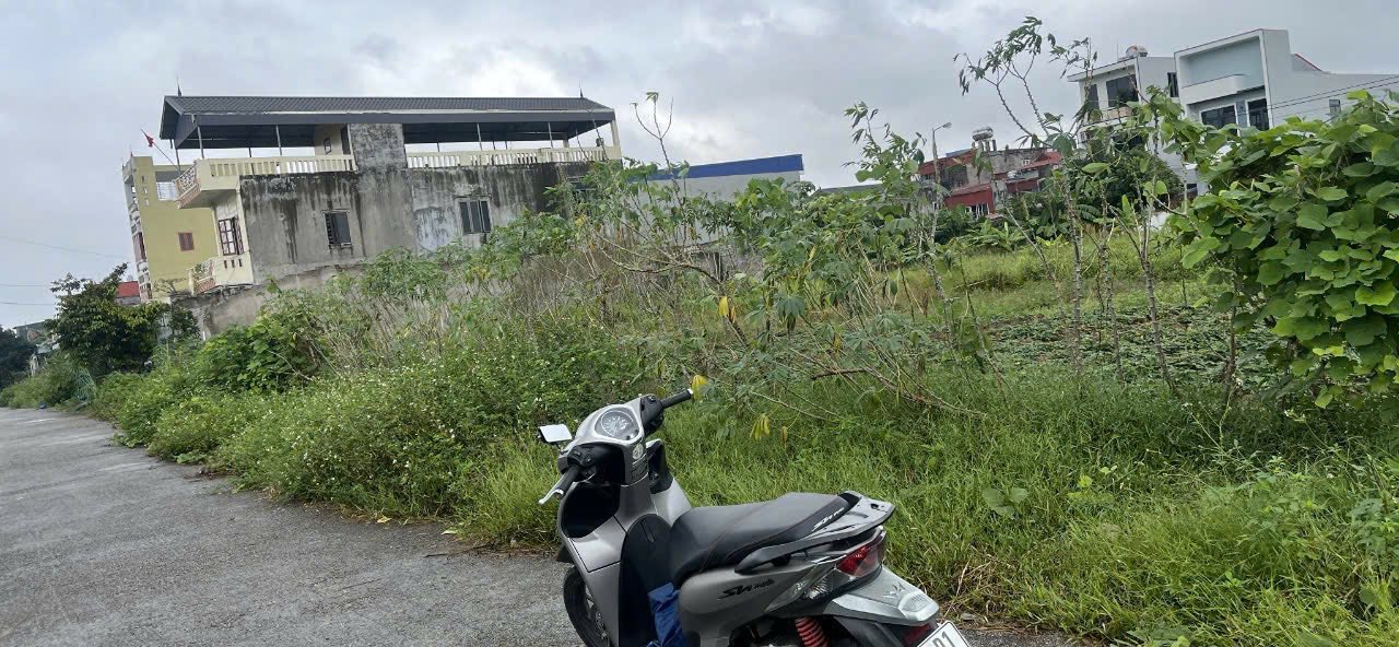 Đất nền TDC Tân Viên An Lão 100m² giá 1.1 tỷ - Sổ đỏ cầm tay ngay!