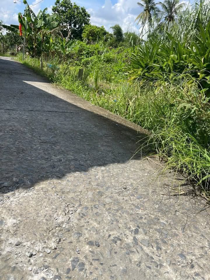 Đất nền Cái Vồn, Bình Minh 145m² giá 350 triệu - Cách lộ xe hơi chỉ 200m!