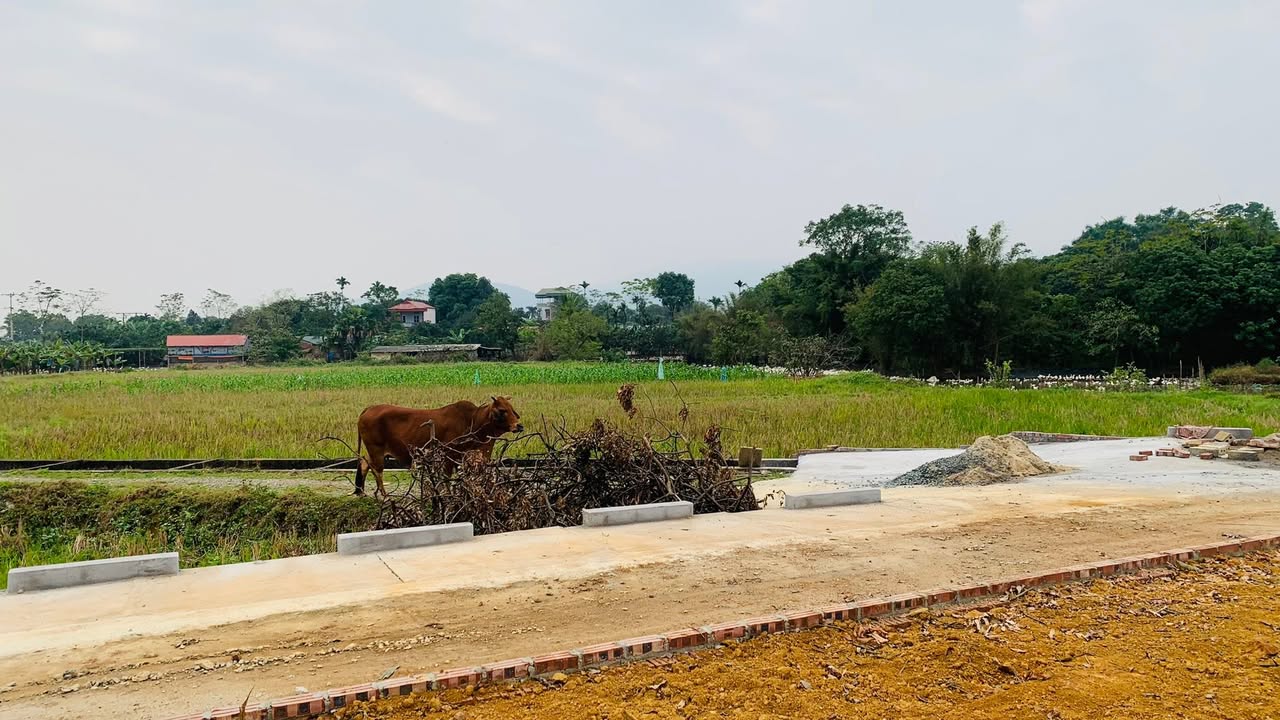 Đất thổ cư 112,8m² tại Xã Phú Cát, Quốc Oai – Sổ đỏ chính chủ, chỉ 3.948 tỷ!