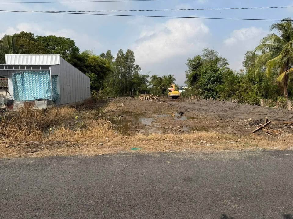 Đất nền thổ cư tại xã Mỹ Thuận, huyện Bình Tân - Giá chỉ 499 triệu!