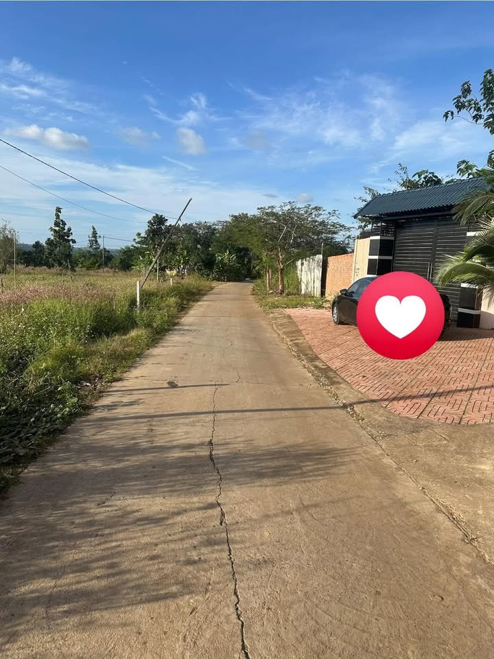 Đất thổ cư 1100m² Đường bê tông thông Đăk Mil giá 410 triệu - Cơ hội đầu tư hấp dẫn!