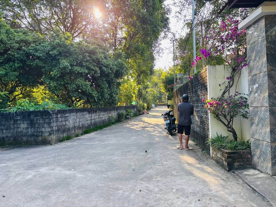 Đất nền đường Nguyễn Văn Linh, phường Quang Trung 129m² giá 660 triệu - Giao thông thuận tiện!