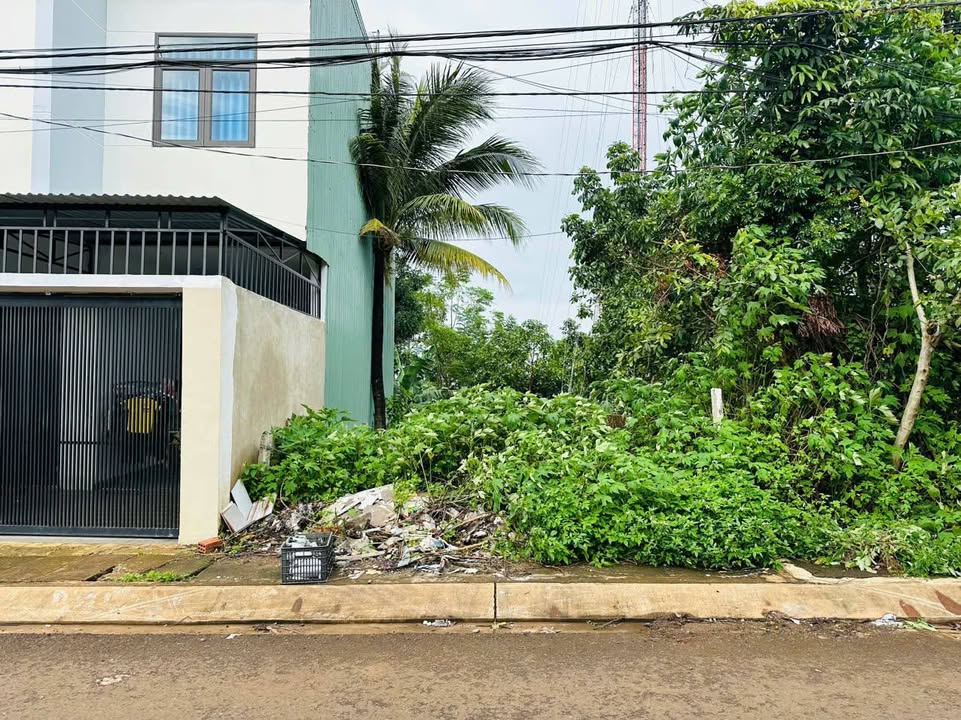 Đất mặt tiền Bà Huyện Thanh Quan, Trà Bá 100m² giá chỉ 1.9 tỷ - Cơ hội đầu tư tuyệt vời!